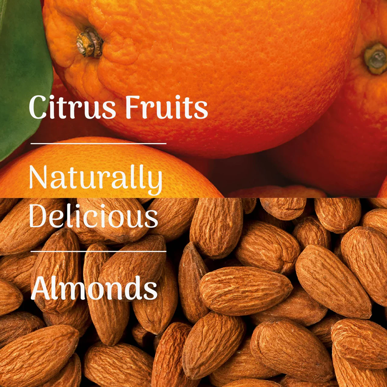 Veloforte - Classico- Citrus Fruits, Almonds & Honey Energy Bar - Image 4