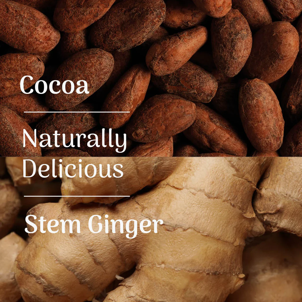 Veloforte - Cocoa & Stem Ginger- Protein Crunch Bar - Image 7
